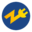 company icon