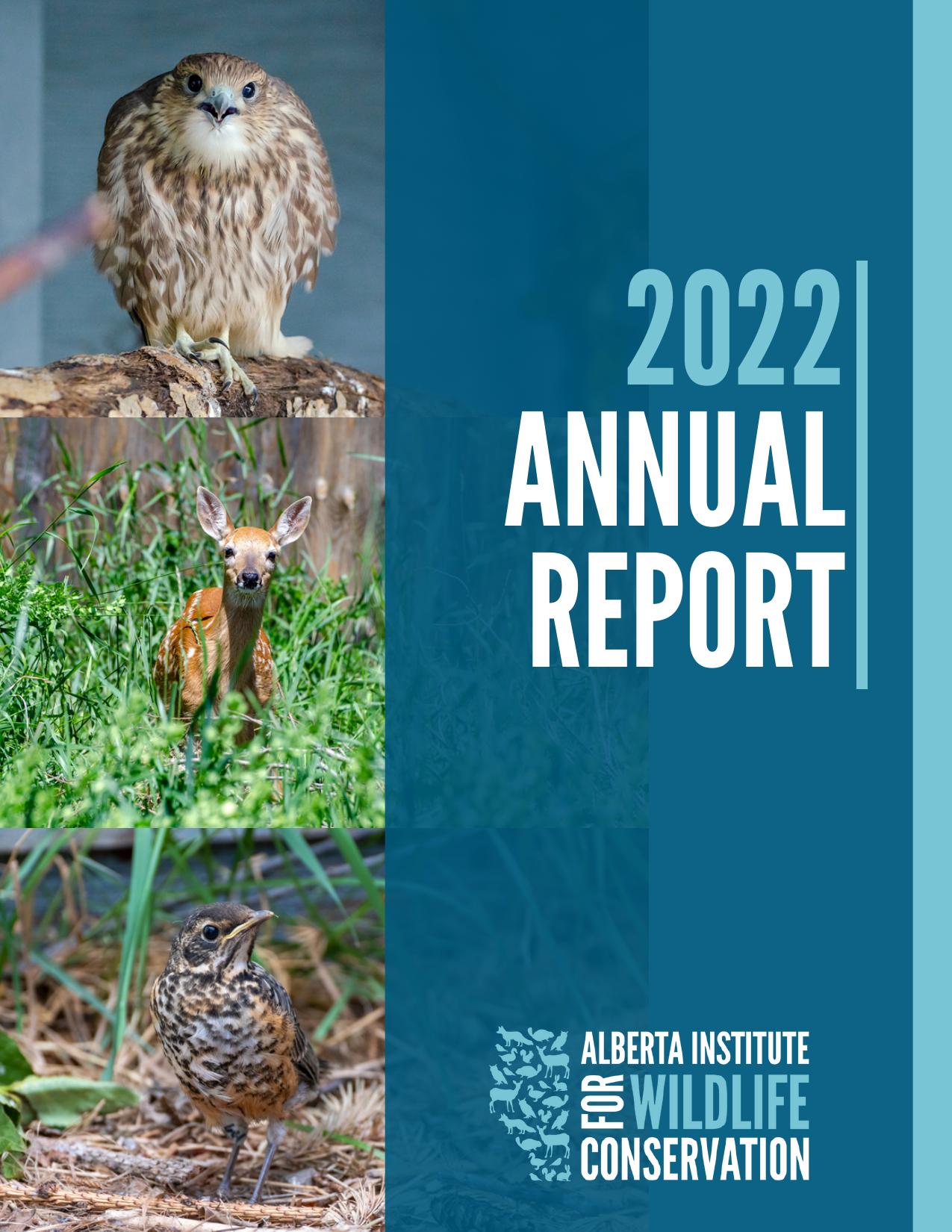 AIWC 2023 Annual Report