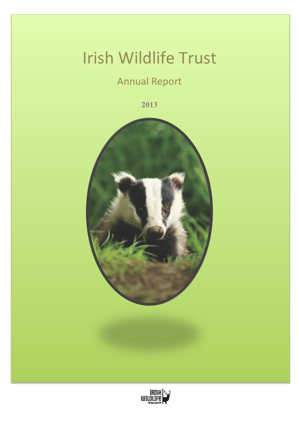  Annual Report