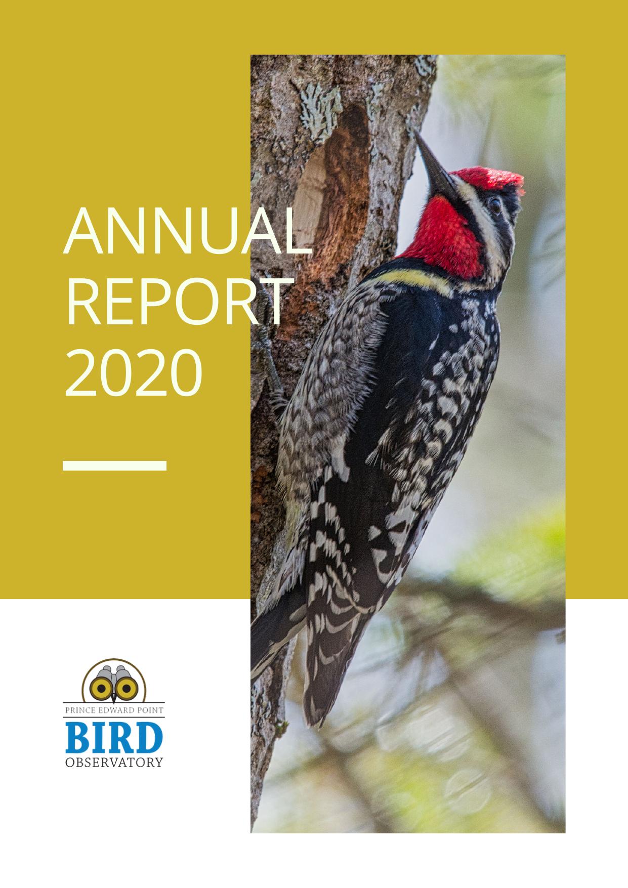  2022 Annual Report