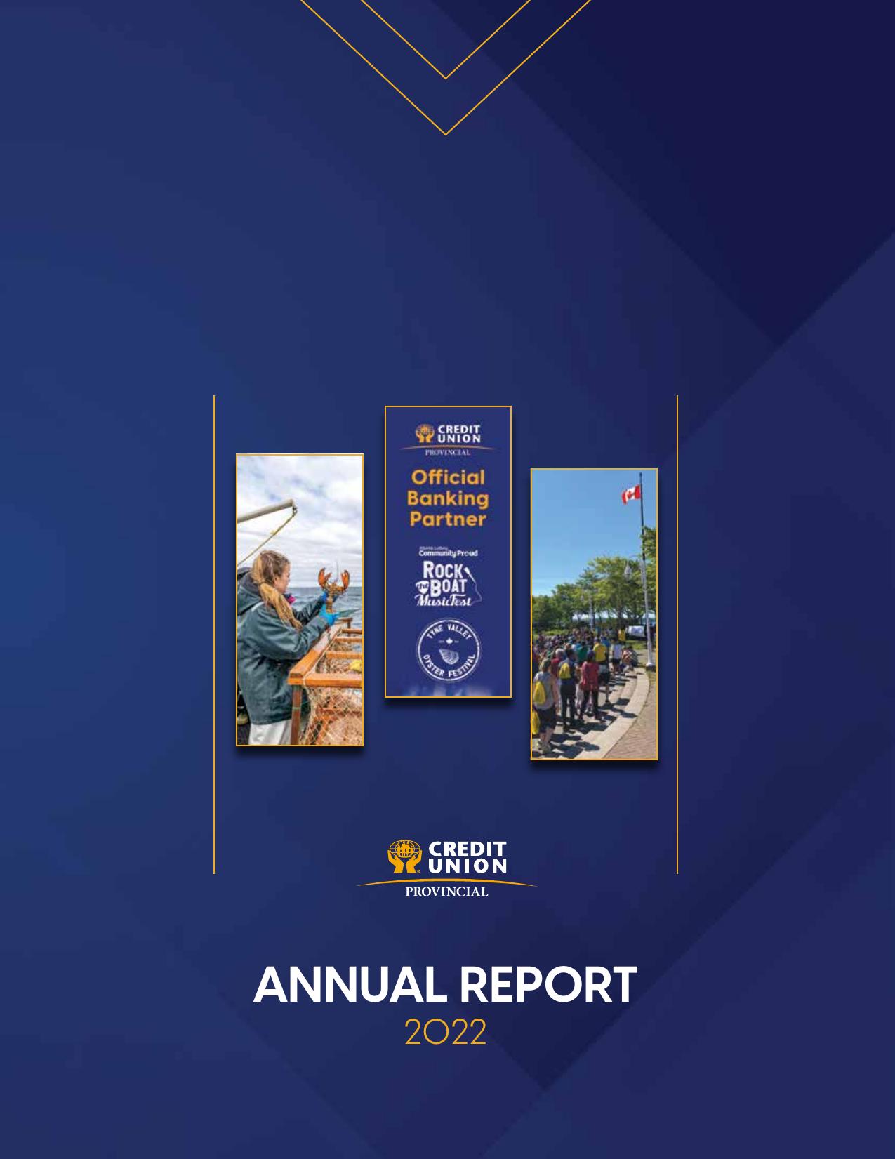 PROGRESSIVECU.NB Annual Report