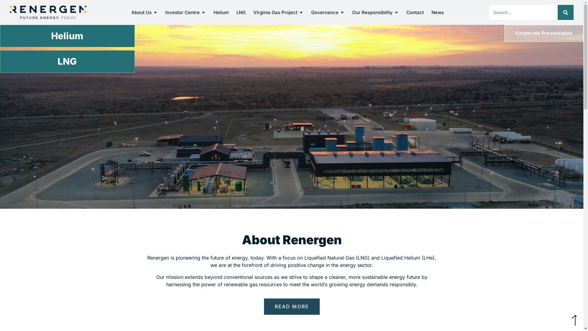 renergen.co.za profile